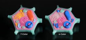 PC4tanchuang | Avloon Two side by side cross section models with pink interiors and colorful organelle like shapes labeled 7 Color and 4 Color