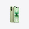 iPhone 17 Sage
